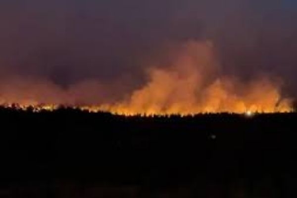 В Тольятти горит лес на площади более 150 га